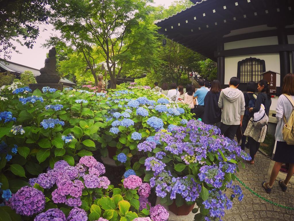 Iza Kamakura Guest House And Bar מראה חיצוני תמונה